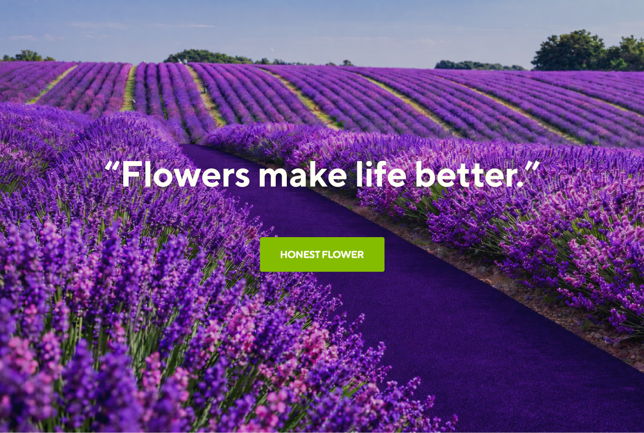 브랜드 이미지2