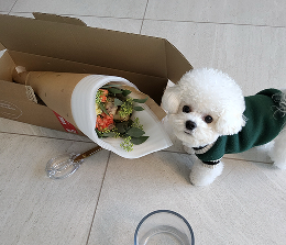 정기구독 리뷰 9 이미지