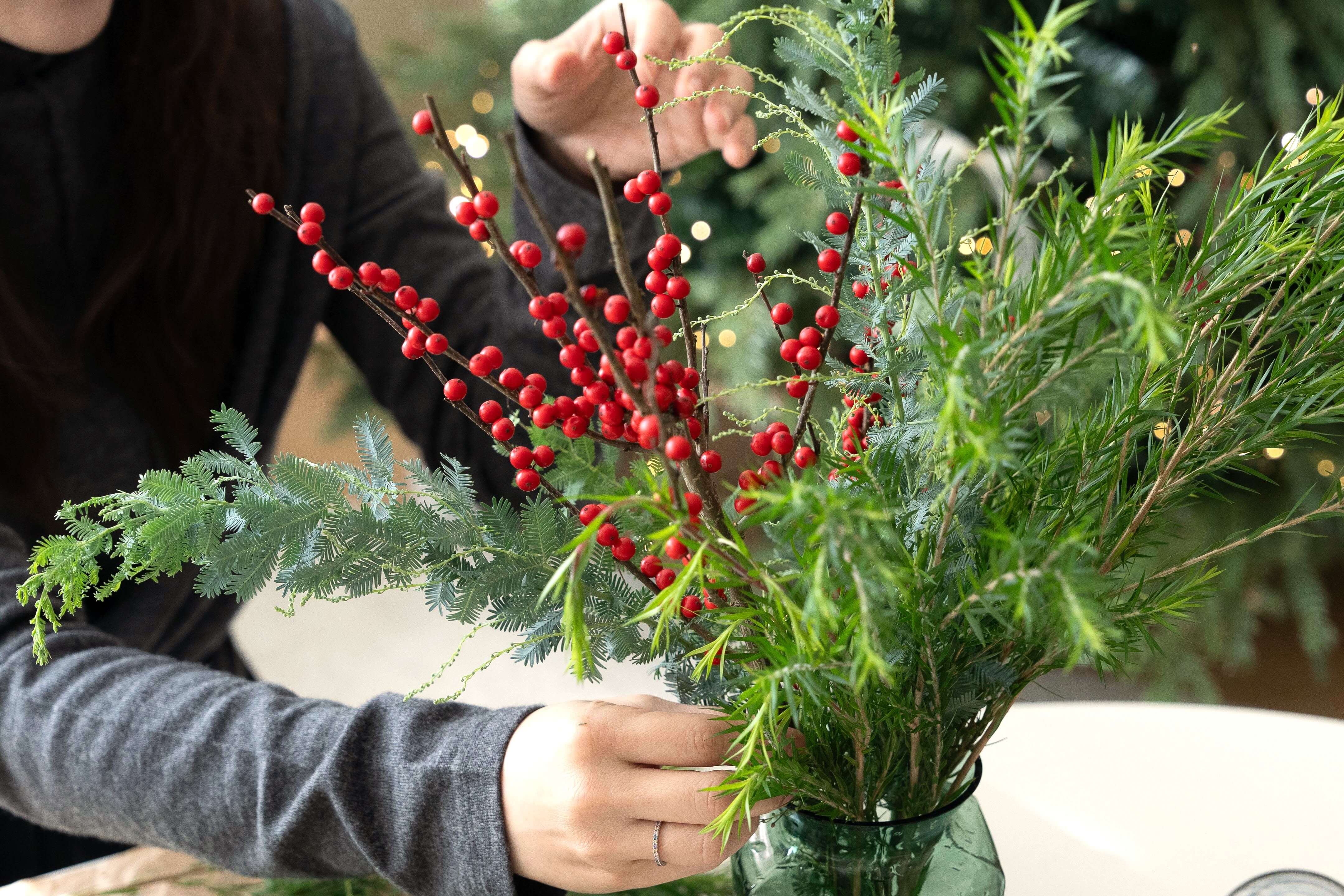 낙상홍 이미지들