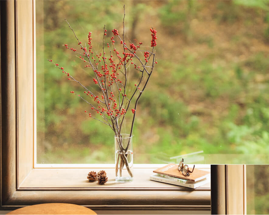 낙상홍 이미지들