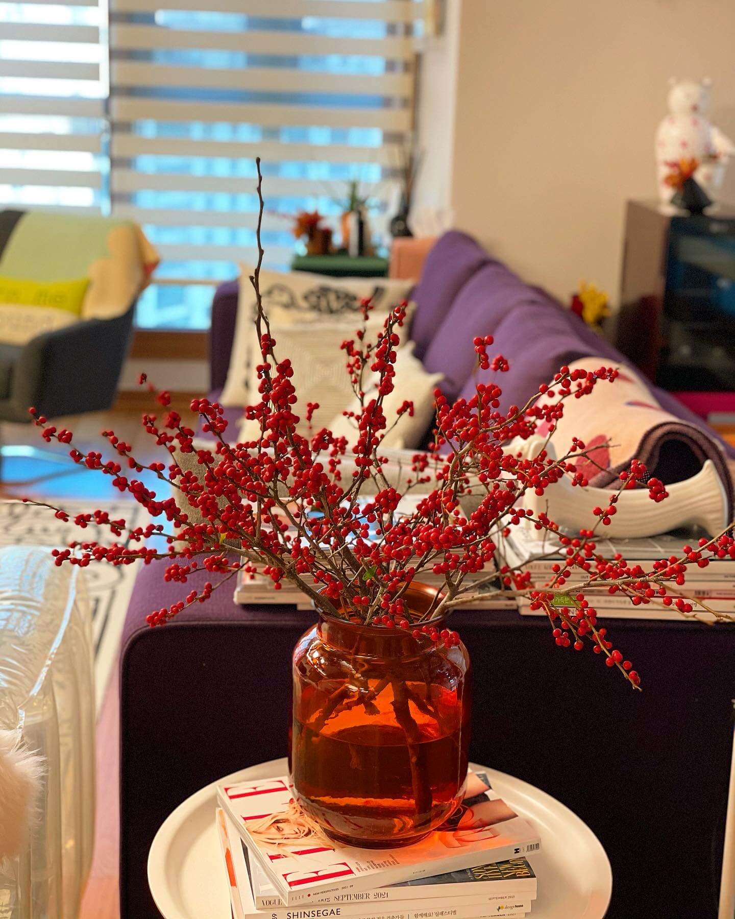 낙상홍 이미지들