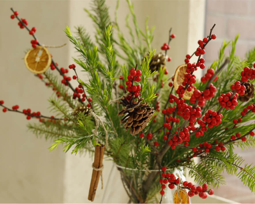 낙상홍 이미지들