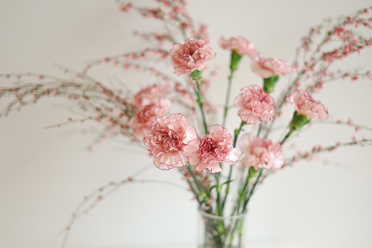 따스한 무드, 로제핑크