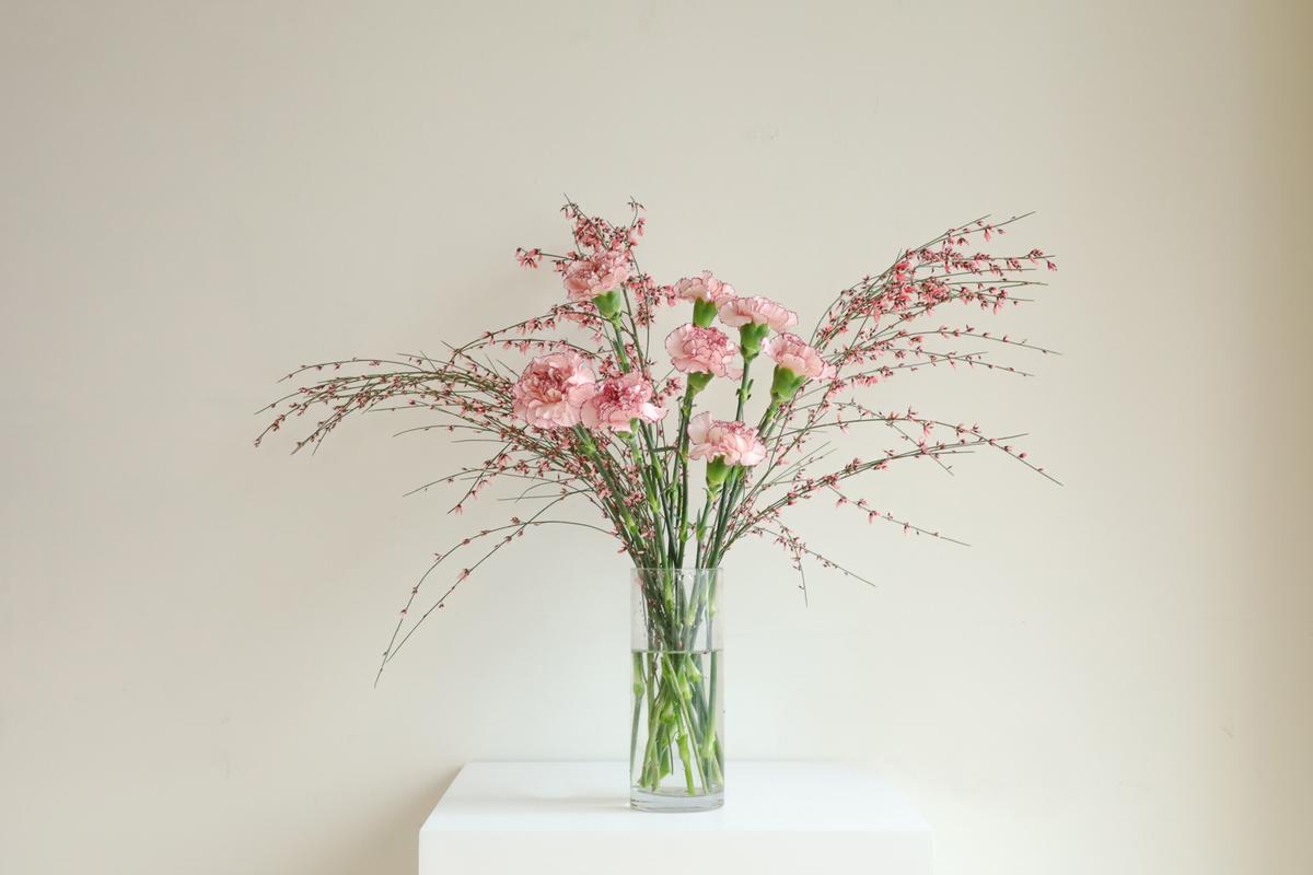 따스한 무드, 로제핑크