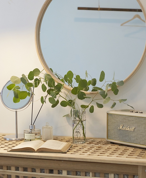 유칼립투스 폴리안