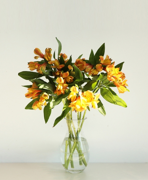 알스트로메리아