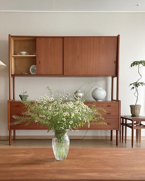 마트리카리아 캄파뉴