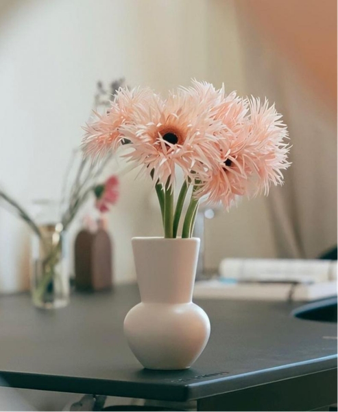 스파이더 거베라