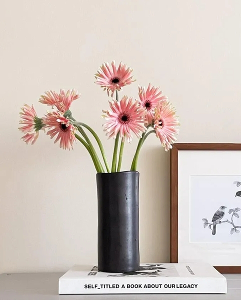 파스티니 거베라