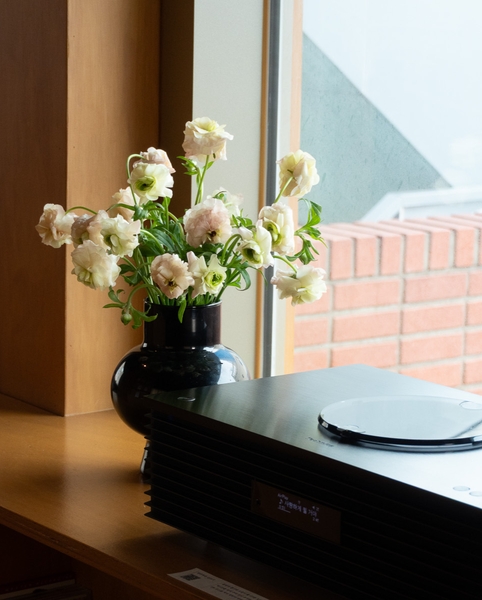 라넌큘러스 버터플라이