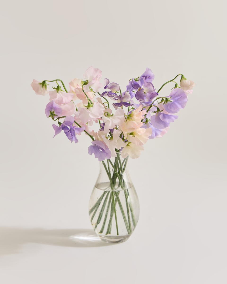 컬러혼합(2종이상)