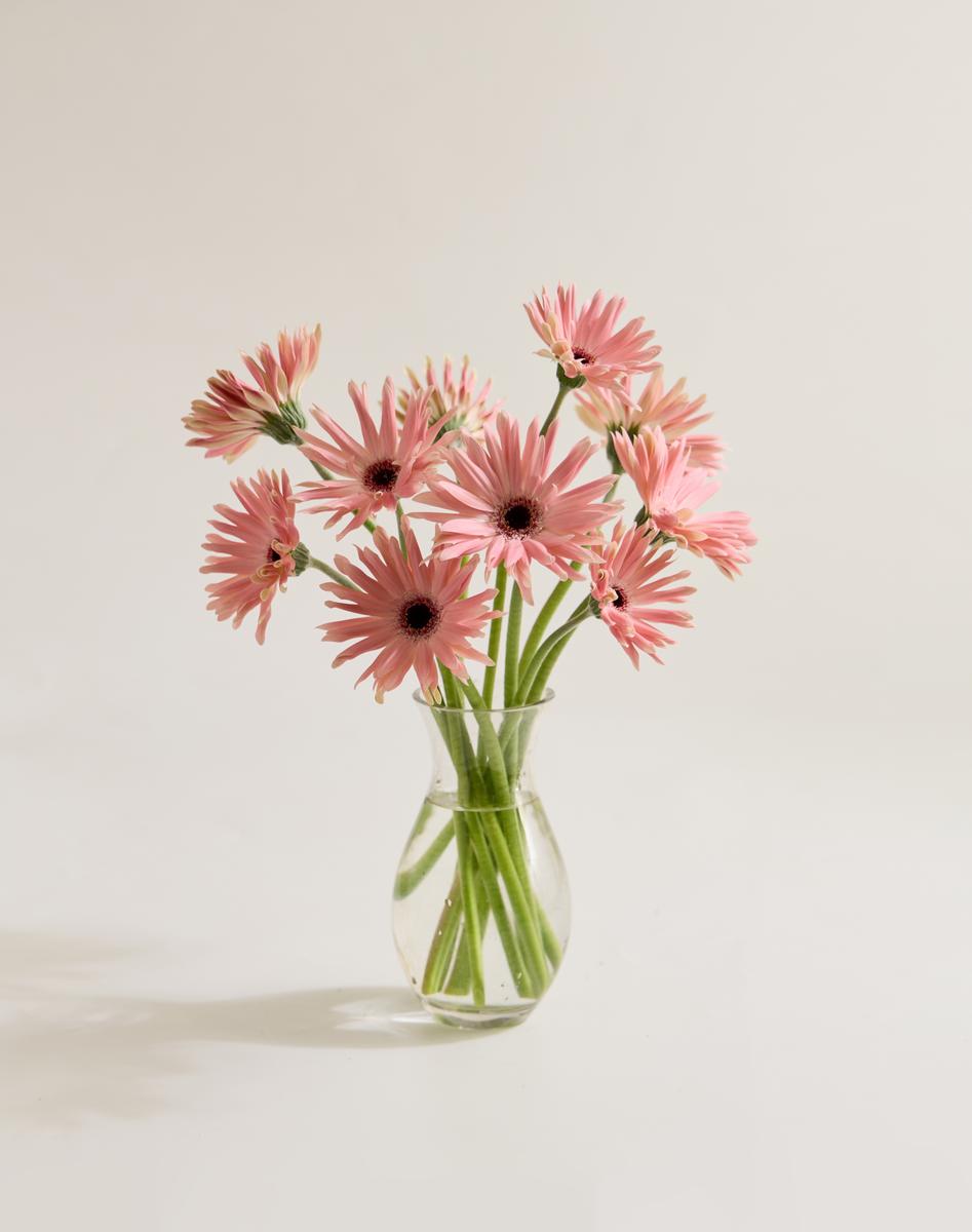 연핑크