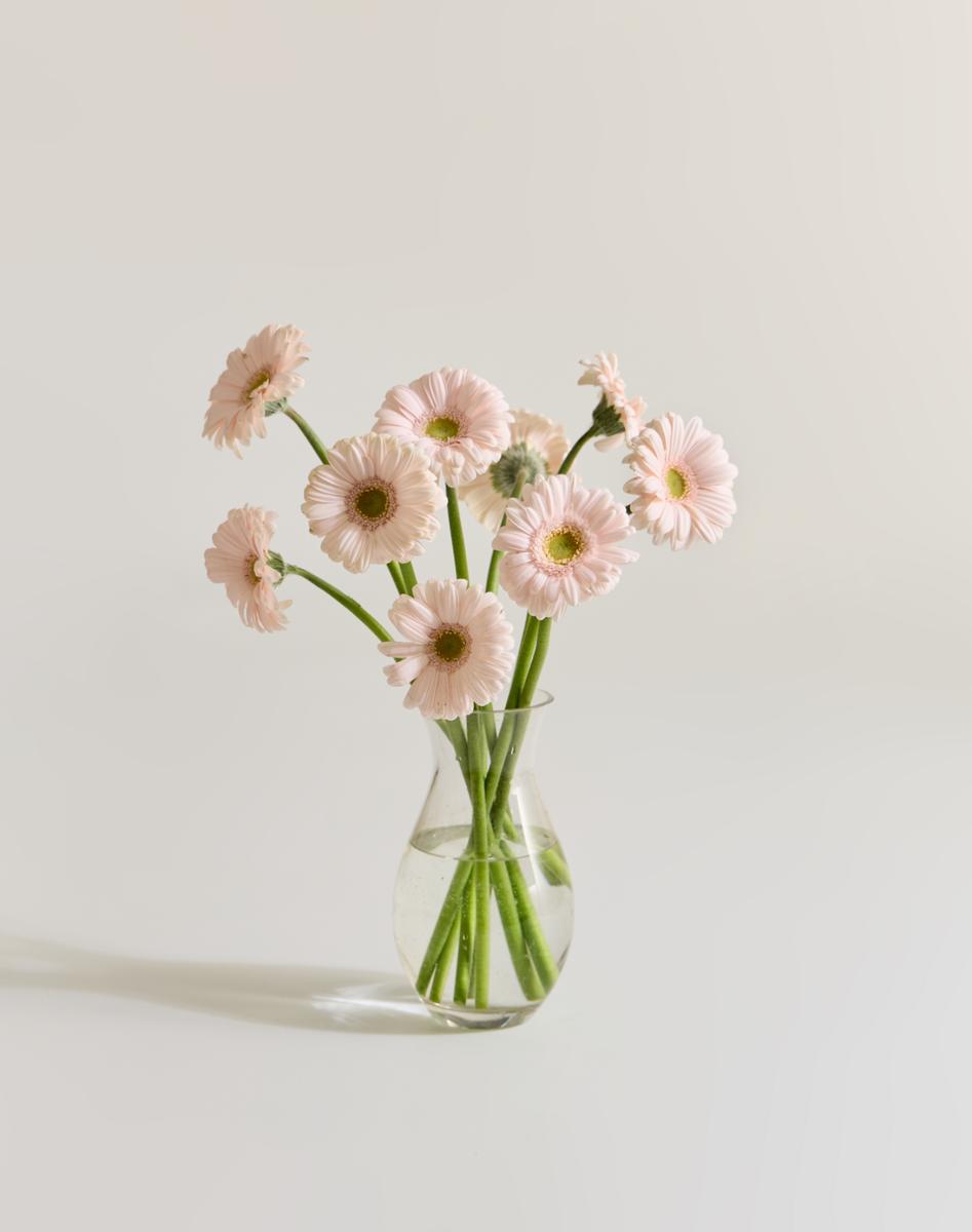 연핑크