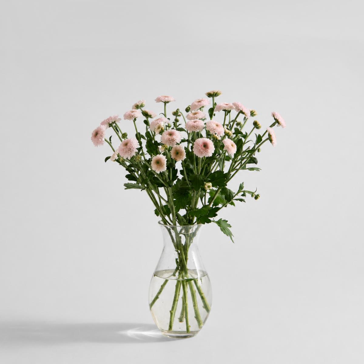 연핑크