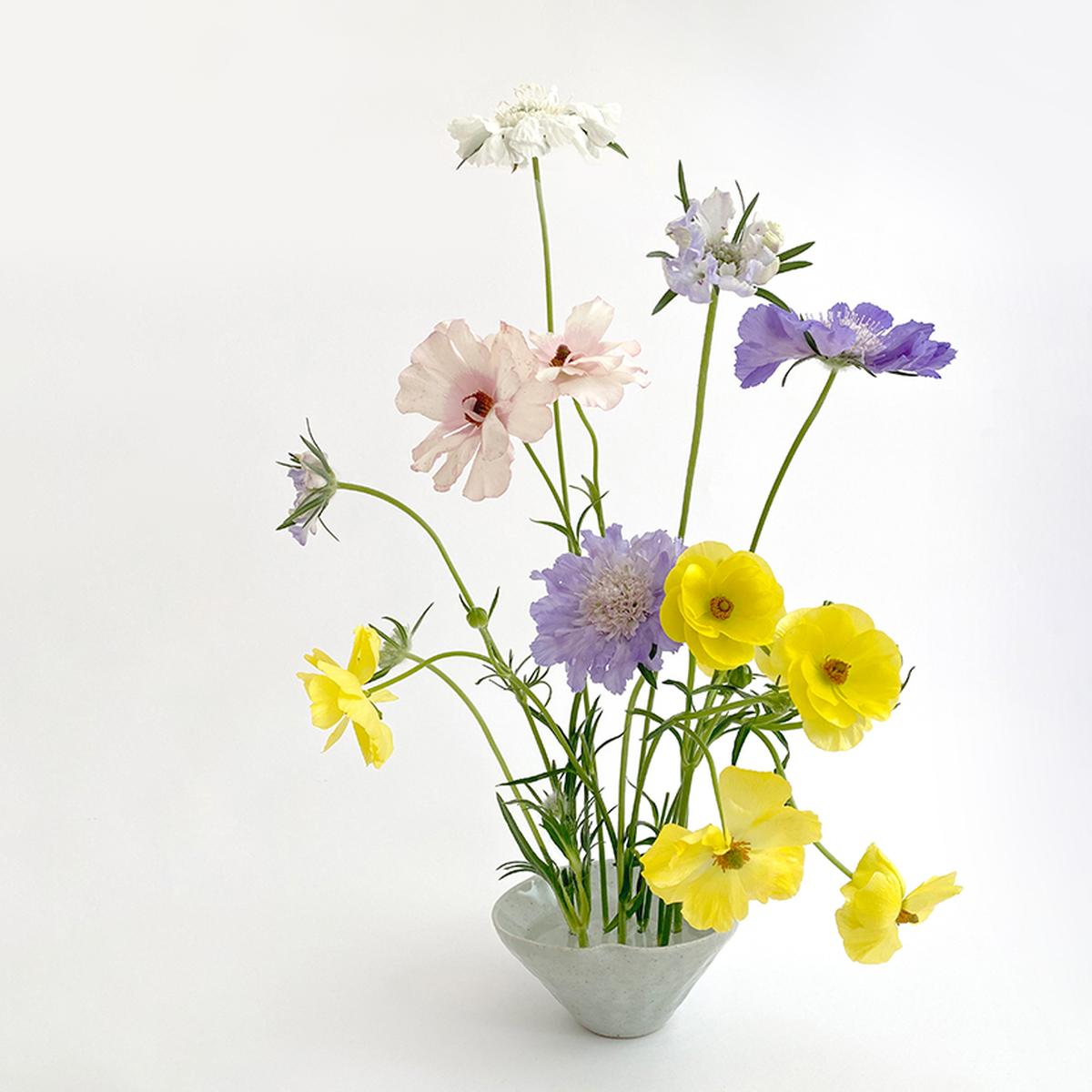 버터플라이 라넌
어여쁜 찰나의 순간