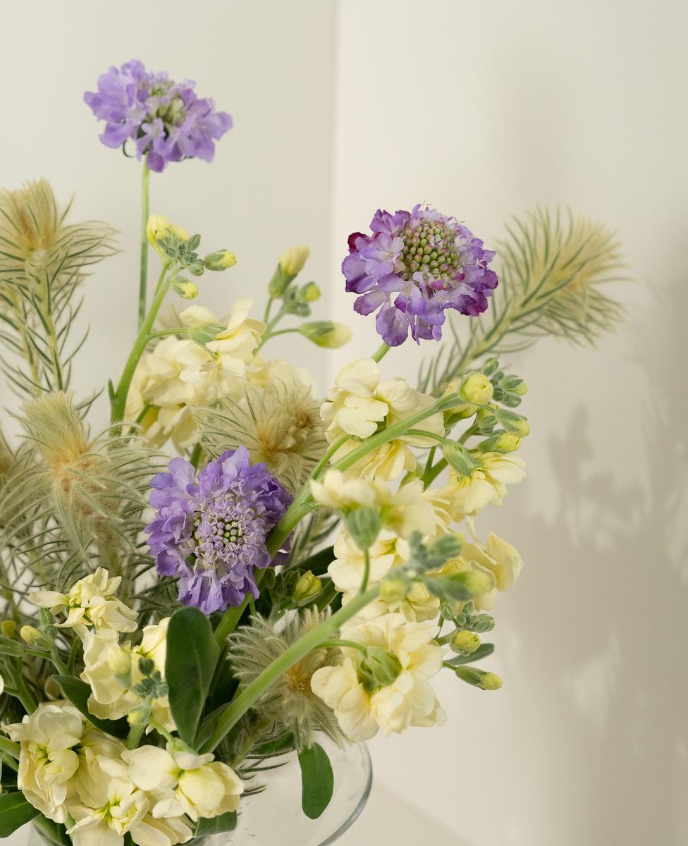 버터리한 컬러의
은은한 속삭임