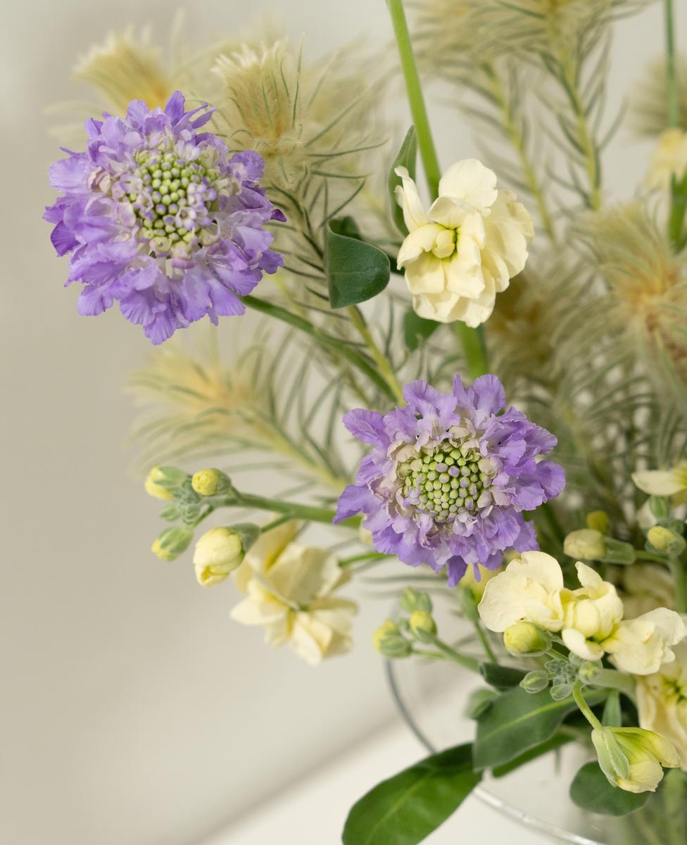 버터리한 컬러의
은은한 속삭임