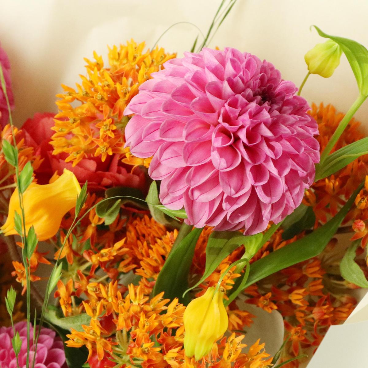 꽃으로 맛보는
후르츠 젤리