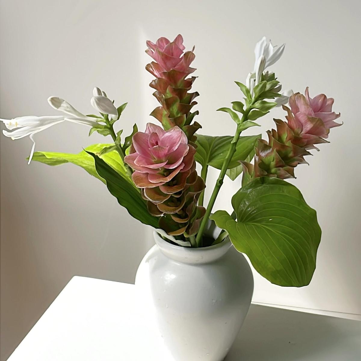 꾸밈 없어도 멋스러운
여름의 꽃