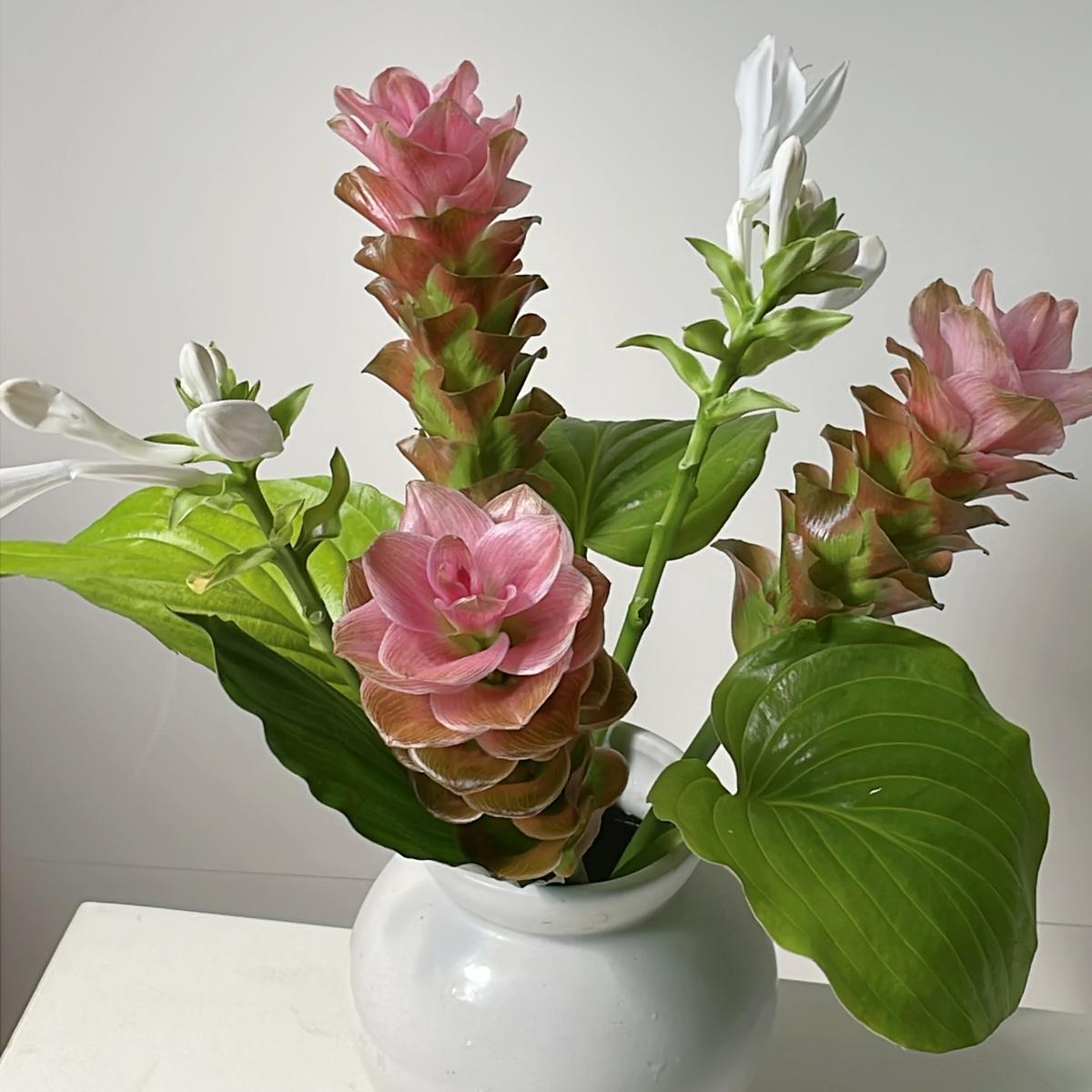 꾸밈 없어도 멋스러운
여름의 꽃