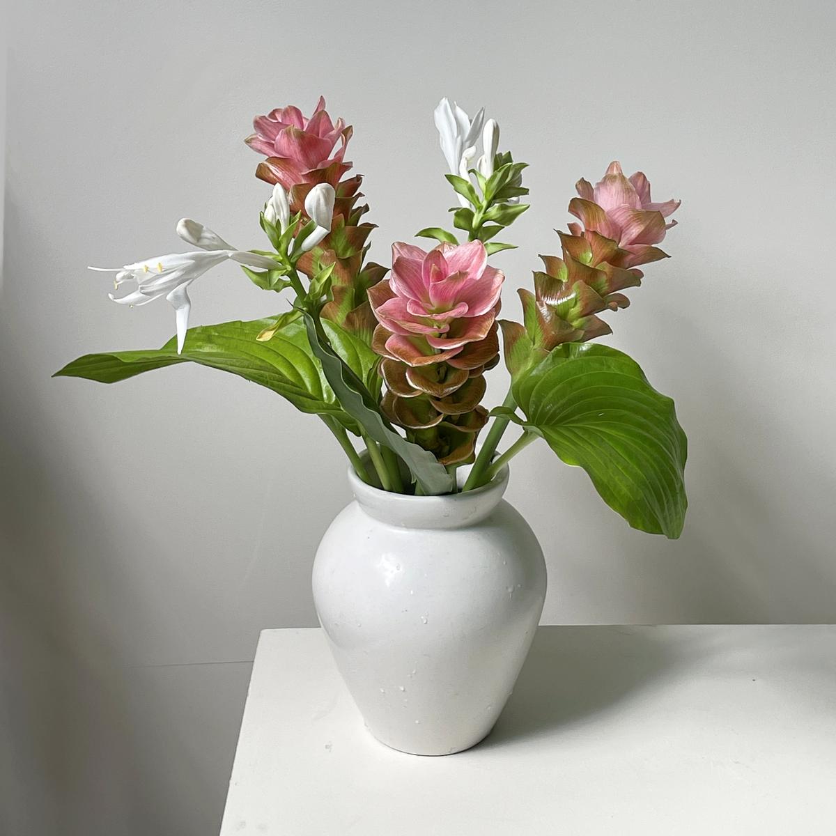 꾸밈 없어도 멋스러운
여름의 꽃