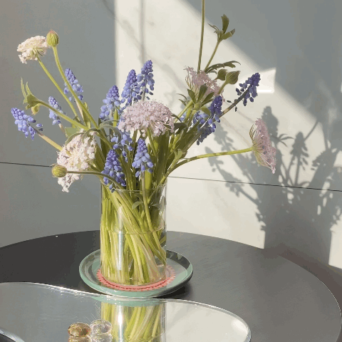 포도알 젤리
무스카리 레시피